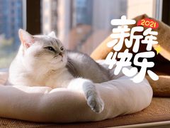 -【朵云轩艺术中心】博洛尼亚插画展·中国巡展·上海站