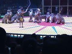 -西安秦岭野生动物园