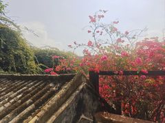 -德云居