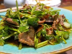 经典醋香拌牛肉-金苑酒家·客家菜·广东老字号(万象店)
