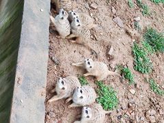 -无锡动物园·太湖欢乐园