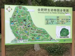 -合肥野生动物园