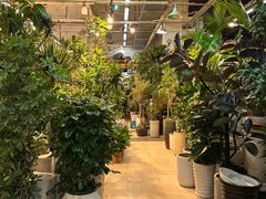 -双季花艺园艺市场(浦东店)