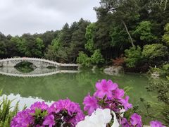 -铁山坪森林公园