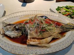 -秦月轩·长安小馆·新陕菜(阜成路·五棵松店)