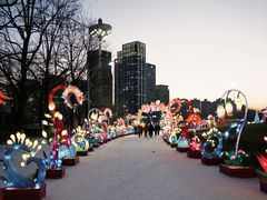 -沈阳奥体冰雪嘉年华