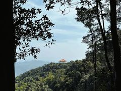 -广州市帽峰山景区