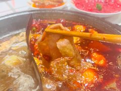 -朱光玉火锅馆(正弘城店)