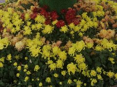 -咸阳湖景区-统一广场