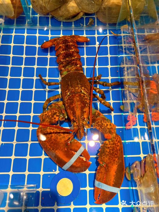 闽海肴(北辰荟店)图片