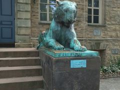 -普林斯顿大学