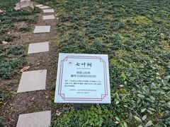 -十八棵（老龙井）御茶园(老龙井店)