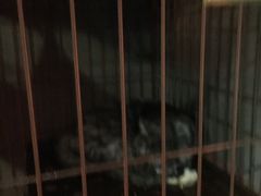 -好介口深夜酒馆(梅江店)
