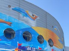 -海合安青岛极地海洋公园