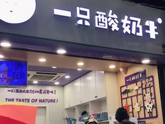 门面-一只酸奶牛(八一路店)