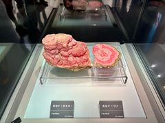 -安徽省地质博物馆