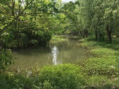 -同里国家湿地公园