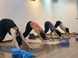 -兴亚瑜伽20年老馆