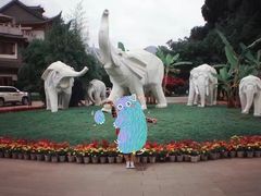 -云南民族村