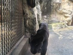 -南昌动物园