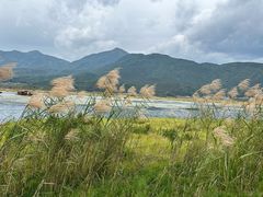 -腾冲北海湿地
