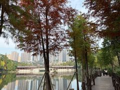 -重庆彩云湖湿地公园