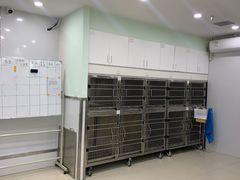 -佳雯宠物医院(金华南路分院)