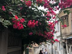 -老宅原住民沙茶面精品小吃(龙头路店)