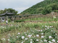-龙寺生态园