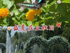 -比斯特上海购物村精品奥特莱斯