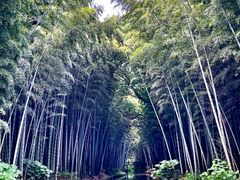 -同里国家湿地公园