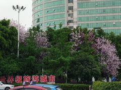 -桂林站