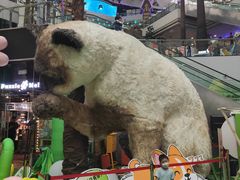-正佳雨林生态植物园