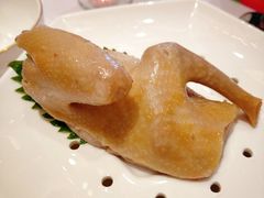 盐水乳鸽-龙吟九品(青龙山庄店)