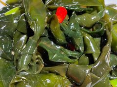 凉拌海带结-日丰园海肠水饺·老字号大连海鲜(和平广场店)