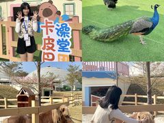 -盈香心动乐园