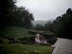 -敬亭山风景名胜区