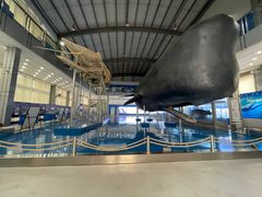 -上海海洋大学鱼文化博物馆(军工路校区)