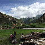 真正风吹草低见牛羊的地方