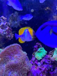 -Zoolung Zoolung动物主题公园(海信广场店)