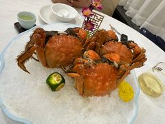 -聚福山莊·寻味顺德(北滘店)