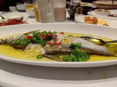 青花椒蒸白水鱼-荣兴酒家(徐家汇店)