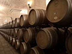 -北京张裕爱斐堡酒庄