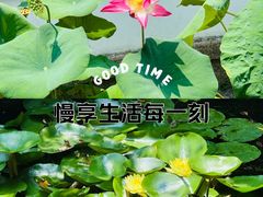 -南园(太仓市)