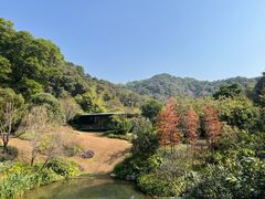-云溪植物园