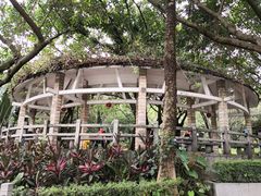 -云溪植物园