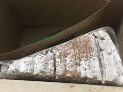 -MUSANG KING猫山王(龙湖杭州滨江天街店)