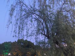 -堤角公园