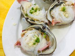 北极贝-蚝专家(北滘店)