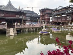 -豫园湖心亭茶楼